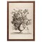 12" x 16" Vintage Vase in Sepia Framed Wall Art, Contemporary Floral Home Décor, Glass Facing and Hanging Hardware Included